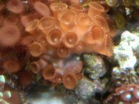 IMG00307-20100824-1703.jpg