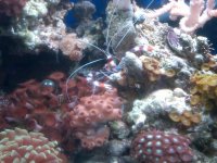 IMG00296-20100824-1639.jpg