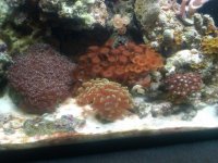 IMG00285-20100821-1504.jpg