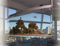 ceiling-mount-contemporary-aquarium-asp.jpg