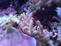 DSC03102.jpg