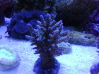IMG00041-20100602-1318.jpg
