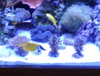 IMG00045-20100602-1332.jpg