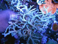 IMG_2121.JPG