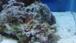 146_2212.jpg 146_2212.jpg