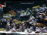 zoa 2 032.jpg