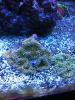 IMG_0276.jpg