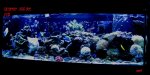 Reef 155 BF, FTS, December 2010 149.jpg