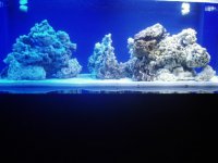 tank 2 002.jpg