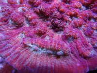 IMG_1324.jpg