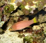 rsz_img_1477.jpg