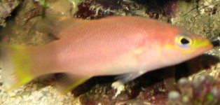 IMG_1476.JPG