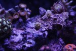 12-19-100 132.jpg