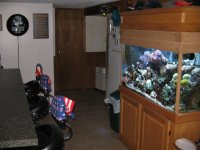 fishtank room 002.JPG