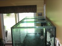 325 gal tank 005.jpg