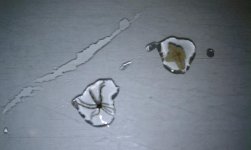 IMAG0076.jpg