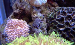 IMAG0321.jpg