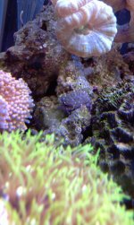 IMAG0317.jpg