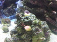 IMG00114-20101218-1634.jpg
