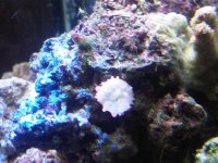 IMG00142-20101224-2000.jpg