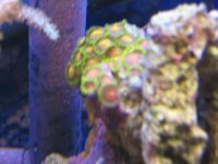 IMG_0732.jpg