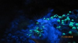 IMG_0193.jpg