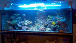2010-11-07_18-14-44_504.jpg