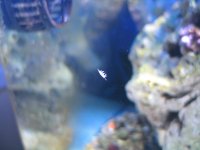 IMG_3332.jpg