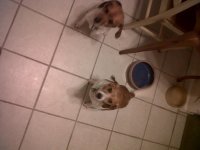 IMG00007-20110113-1948.jpg