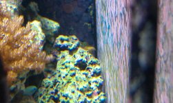 IMAG0036.jpg
