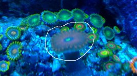20101205_001.jpg