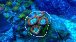 20101205_012.jpg