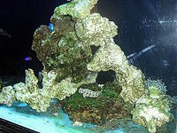 greenrock2.jpg