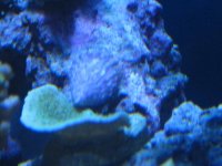 IMG_1747.jpg