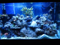 IMG_1757[1].jpg