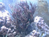 IMG_2757.JPG