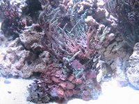 IMG_2758.JPG