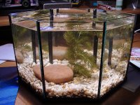 half gallon nano 001.jpg