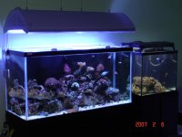 New 90 gallon.jpg