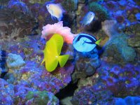 IMG_4891.JPG