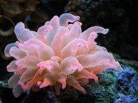 IMG_4803.JPG