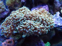 IMG_4845.JPG