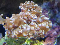 IMG_0306.JPG