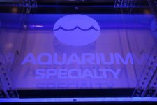 Macna_Sump1.jpg