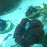 ImageUploadedByTapatalk.jpg