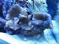 IMG_1745.jpg
