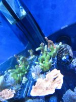 IMG_1744.jpg