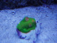 Oregon Mummy's Eyes.jpg