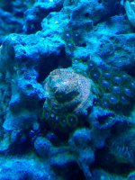 IMAG0144.jpg