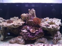 IMG_20110507_113252.jpg